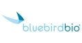 Bluebird bio’s Gene Therapy for CALD Gets Accelerated Approval
