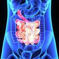 FDA Sets Action Date for Zolbetuximab for Stomach Cancers