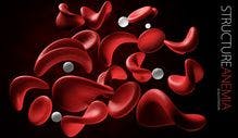 FDA Issues CRL for Vadadustat for Anemia