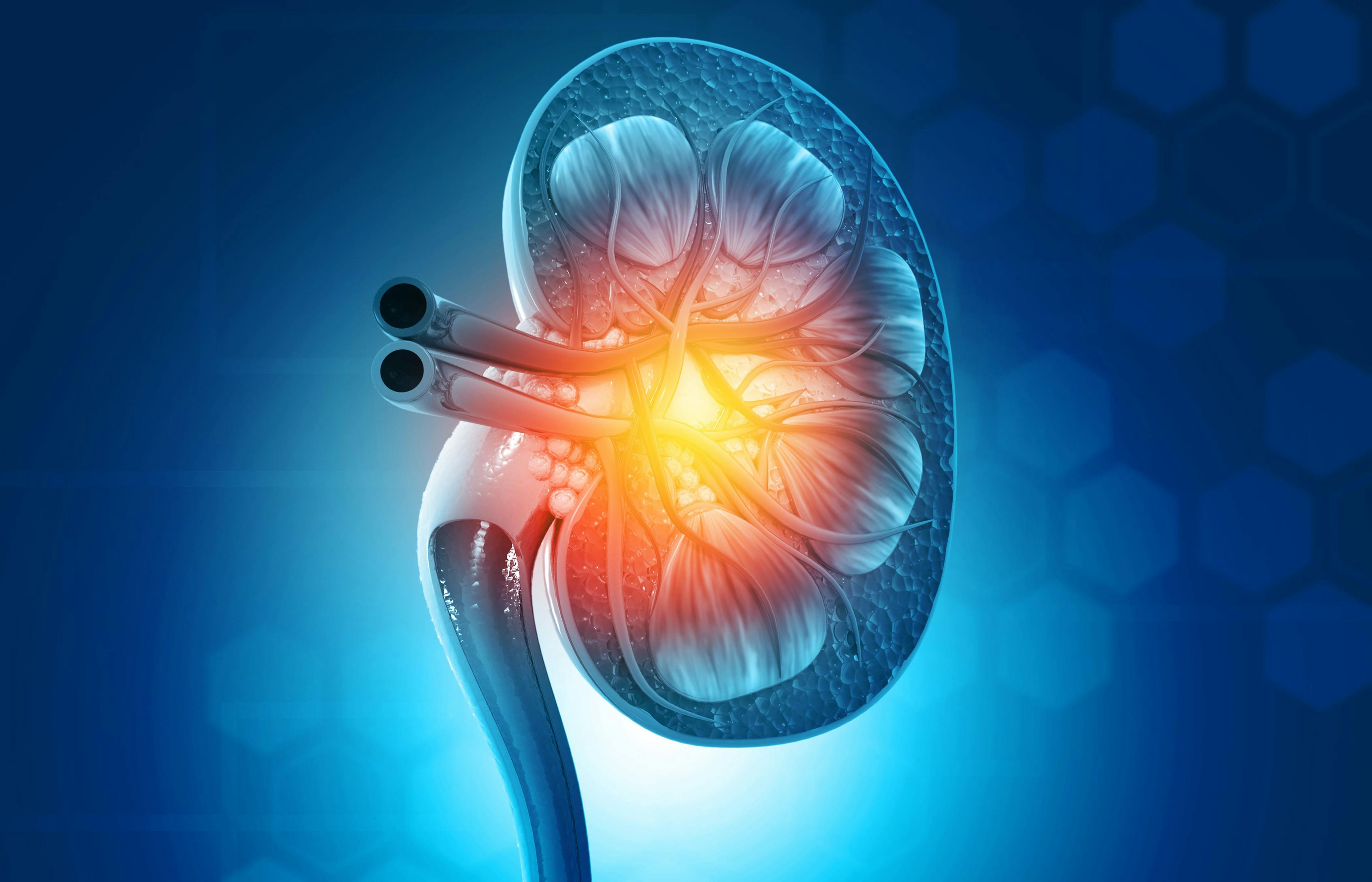 FDA Assigns Review Date for Resubmission of Kidney Disease Treatment