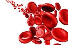 FDA Accepts for Priority Review Gene Therapy for Rare Blood Disorder