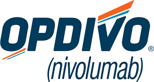 FDA Accepts Applications for Opdivo Combinations for Advanced Esophageal Squamous Cell Carcinoma