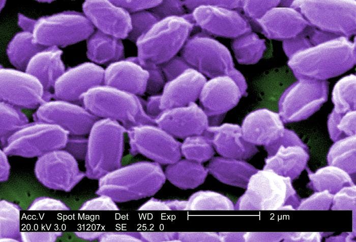 FDA Approves Postexposure Anthrax Vaccine