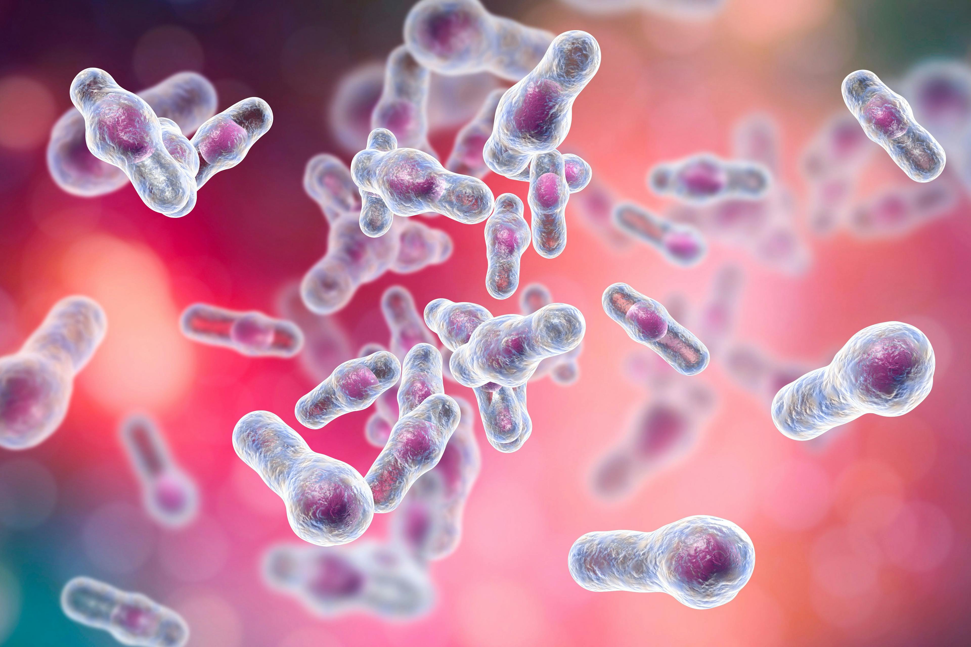 Clostridium difficile bacteria.   © Dr_Microbe - stock.adobe.com